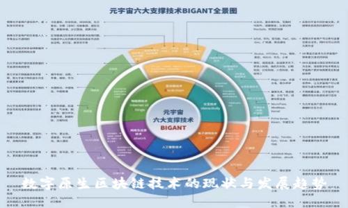 数字原生区块链技术的现状与发展趋势