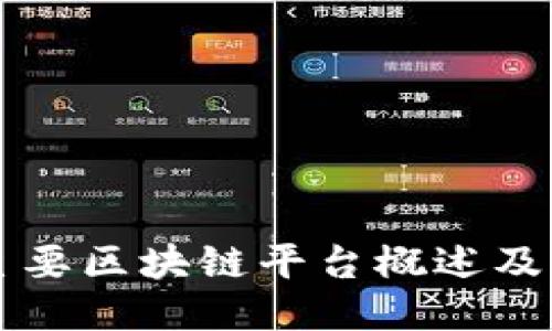 全球主要区块链平台概述及其应用