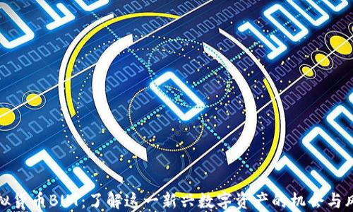 
虚拟货币BUT：了解这一新兴数字资产的机会与风险