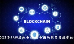 2023年RAW虚拟币：未来币圈的新星与投资机会