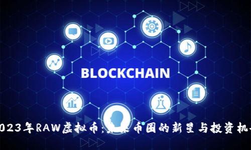 2023年RAW虚拟币:未来币圈的新星与投资机会