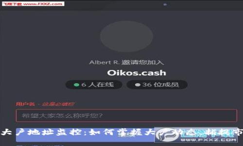虚拟币大户地址监控:如何掌握大户动态,捕捉市场机遇
