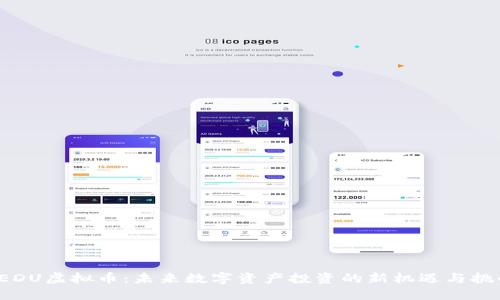 LEDU虚拟币:未来数字资产投资的新机遇与挑战
