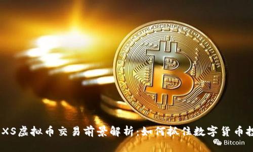 2023年XS虚拟币交易前景解析:如何抓住数字货币投资机会