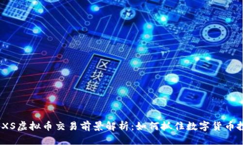 2023年XS虚拟币交易前景解析:如何抓住数字货币投资机会