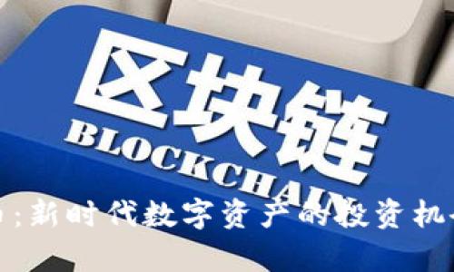 KCASH虚拟币:新时代数字资产的投资机会与风险分析