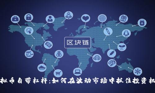 虚拟币自带杠杆:如何在波动市场中抓住投资机会