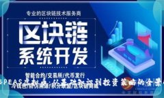 揭秘PEAS虚拟币：从基础知识到投资策略的全景解