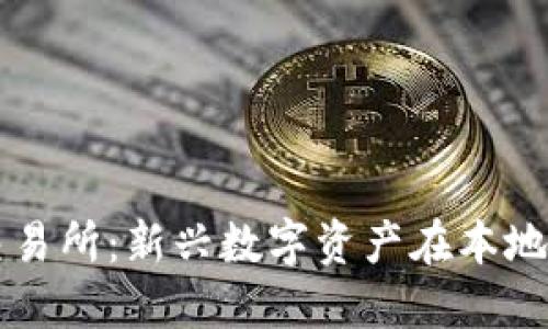 鄂州虚拟币交易所:新兴数字资产在本地的崛起与未来
