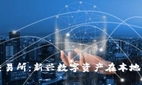 鄂州虚拟币交易所:新兴数字资产在本地的崛起与未来