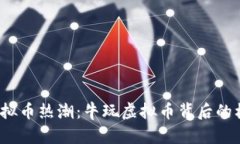 2023年虚拟币热潮：牛玩虚拟币背后的机会与挑战