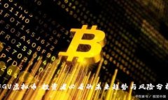 FGV虚拟币：投资者必看的未来趋势与风险分析