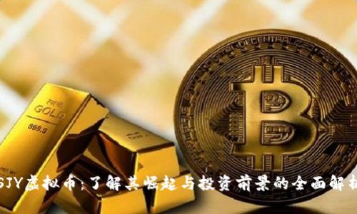 SJY虚拟币:了解其崛起与投资前景的全面解析