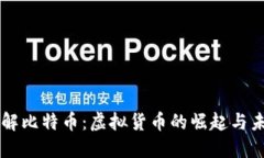 深入了解比特币：虚拟货币的崛起与未来展望