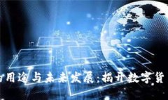 虚拟币的用途与未来发展：揭开数字货币的面纱