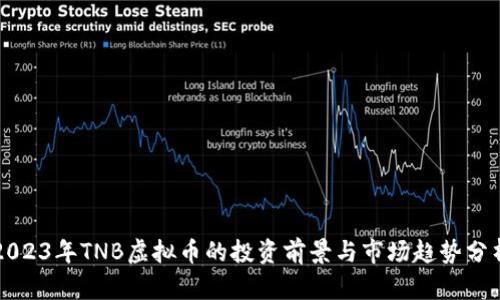 2023年TNB虚拟币的投资前景与市场趋势分析