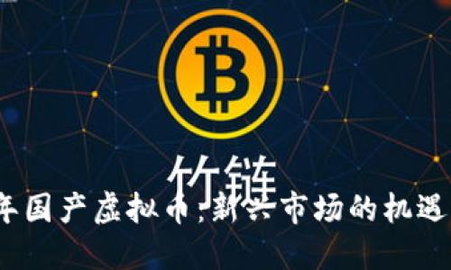 2023年国产虚拟币:新兴市场的机遇与挑战