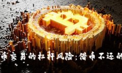 虚拟币交易的杠杆风险：借币不还的教训