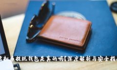 虚拟币提现钱包是真的吗？深度解析与安全指南