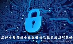 虚拟币暂停提币原因解析及投资者应对策略