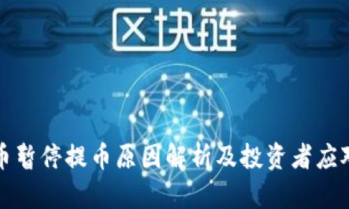 虚拟币暂停提币原因解析及投资者应对策略