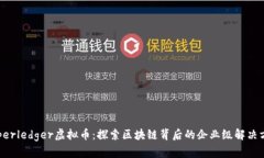 Hyperledger虚拟币：探索区块链背后的企业级解决方
