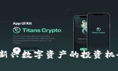 清远虚拟币：新兴数字资产的投资机会与风险分