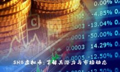 SHB虚拟币：了解其潜力与市场动态