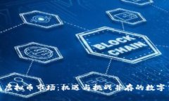 探索南美虚拟币市场：机遇与挑战并存的数字货