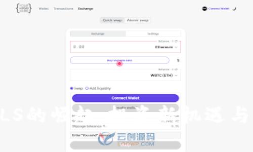 虚拟币GLS的崛起：投资新机遇与风险解析