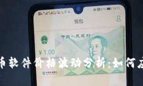 2023年虚拟币软件价格波动分析：如何应对市场起伏？