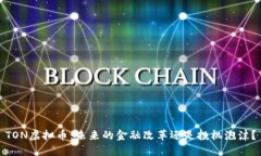 TON虚拟币：未来的金融改革还是投机泡沫？