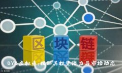 BYB虚拟币：揭秘其投资潜力与市场动态