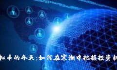 虚拟币的冬天：如何在寒潮中把握投资机会