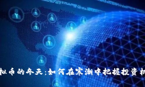 虚拟币的冬天：如何在寒潮中把握投资机会