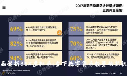 全面解析BEX虚拟币:当下数字货币投资的新机会