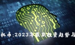 虚拟币单机币：2023年最新投资趋势与风险解析