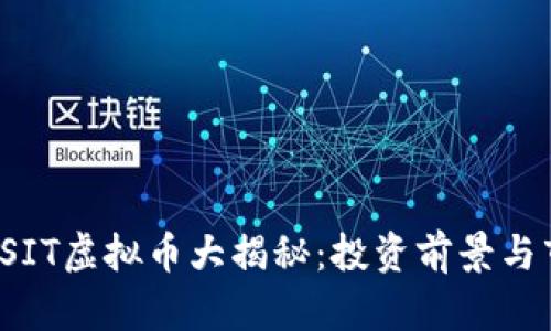2023年SIT虚拟币大揭秘:投资前景与市场分析