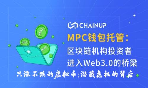 只涨不跌的虚拟币:潜藏危机的背后