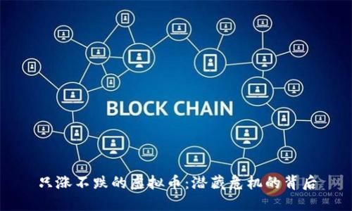 只涨不跌的虚拟币:潜藏危机的背后