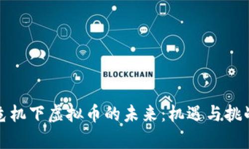 经济危机下虚拟币的未来:机遇与挑战并存