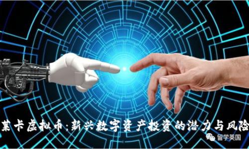 莱卡虚拟币:新兴数字资产投资的潜力与风险