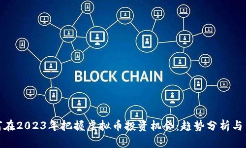 如何在2023年把握虚拟币投资机会:趋势分析与策略