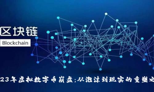 2023年虚拟数字币崩盘:从泡沫到现实的重塑之路