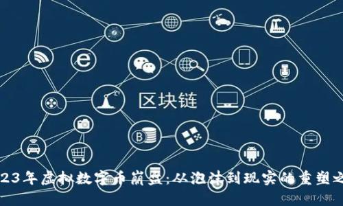 2023年虚拟数字币崩盘:从泡沫到现实的重塑之路