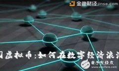 探秘星空家园虚拟币：如何在数字经济浪潮中抓