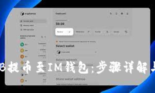 如何将BNB提币至IM钱包:步骤详解与注意事项