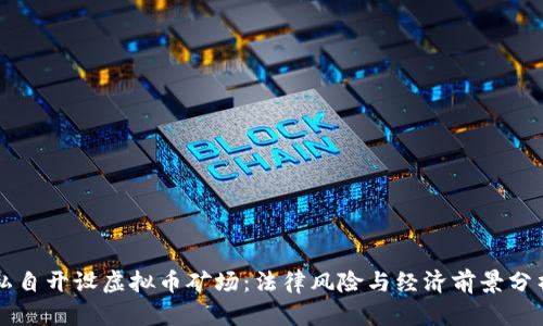 私自开设虚拟币矿场:法律风险与经济前景分析