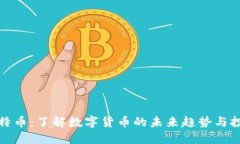 虚拟瑞特币：了解数字货币的未来趋势与投资机
