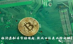 临沂虚拟币市场崛起：新风口还是风险之地？